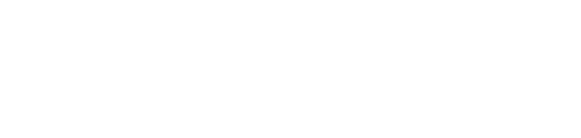 BIM